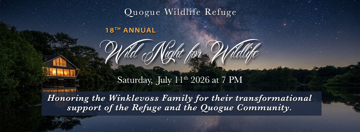 18th Annual Wild Night for Wildlife